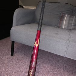Rake Maple Wooden Baseball Bat
