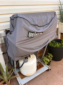 Out door gas grill