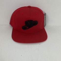 20$ Snapback Hat