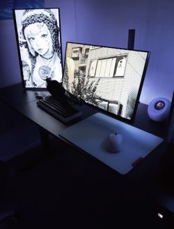 Dell 24 Inch Monitors