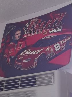 Signed Collectible Hood Dale Earnhardt Jr. Collectible Hoodof