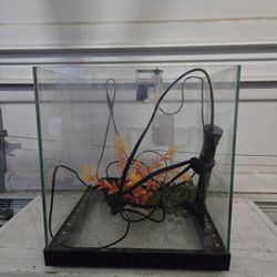 6.5 Gallon Rimless Fish Tank Set