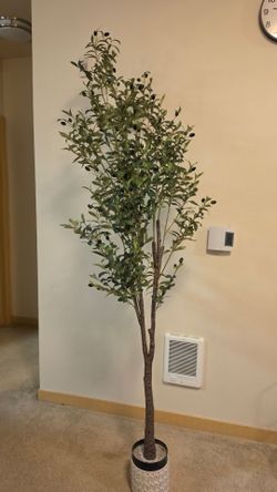 7 ft Artificial Olive Tree | Realistic Faux Indoor Plant