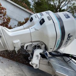 Johnson Ocean Runner (twin)