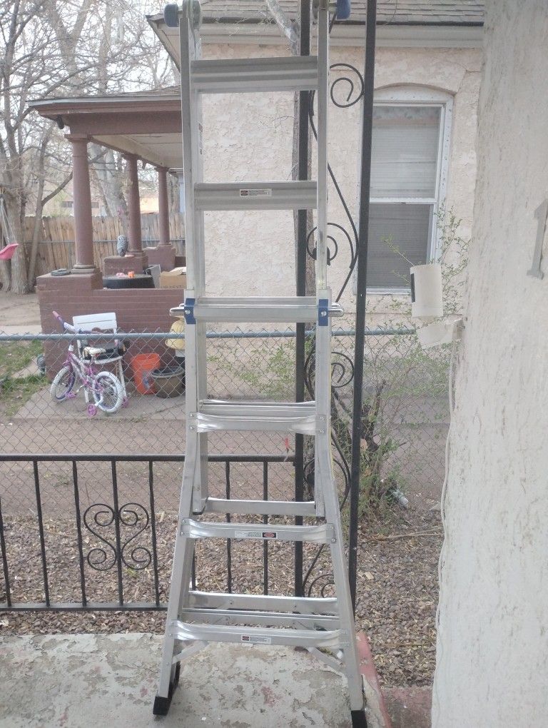 Werner Adjustable Ladder