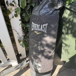 Everlast Punching Bag   
