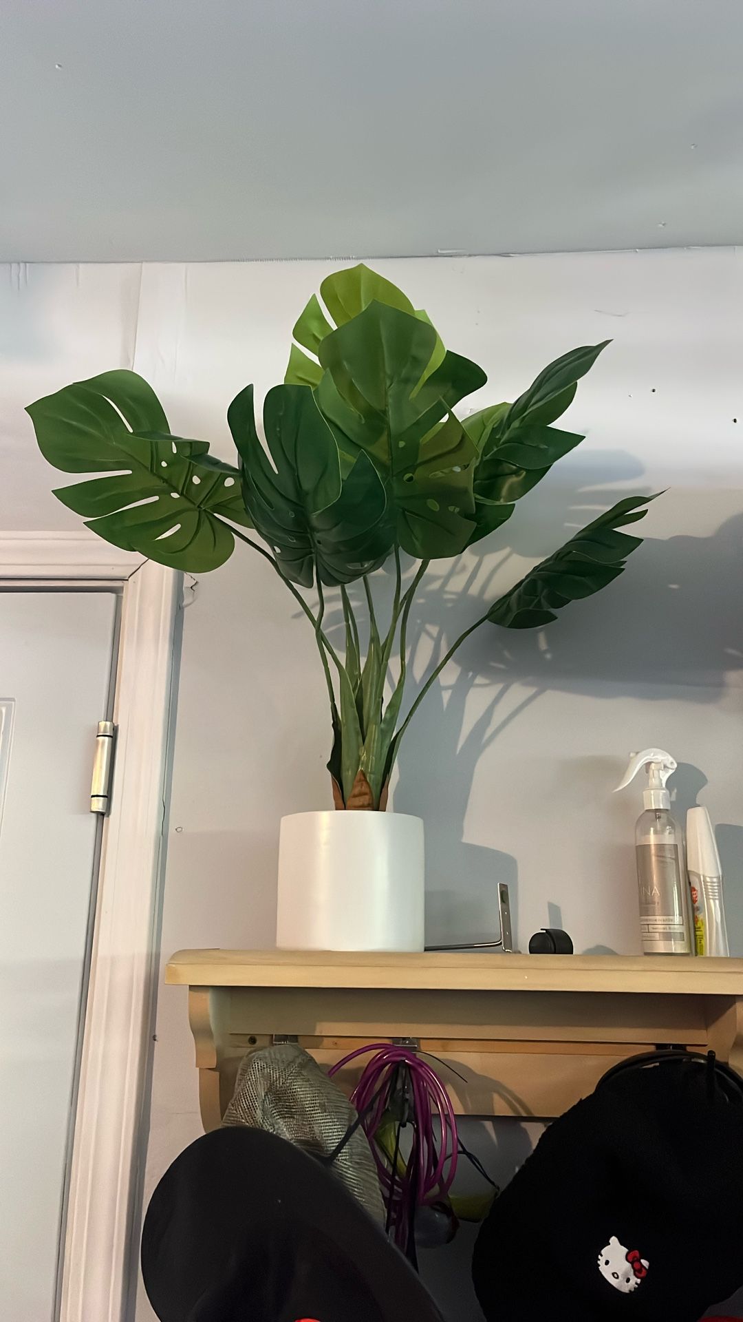 Fake Plant 