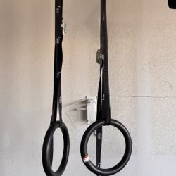 Olympic Rings Exercise