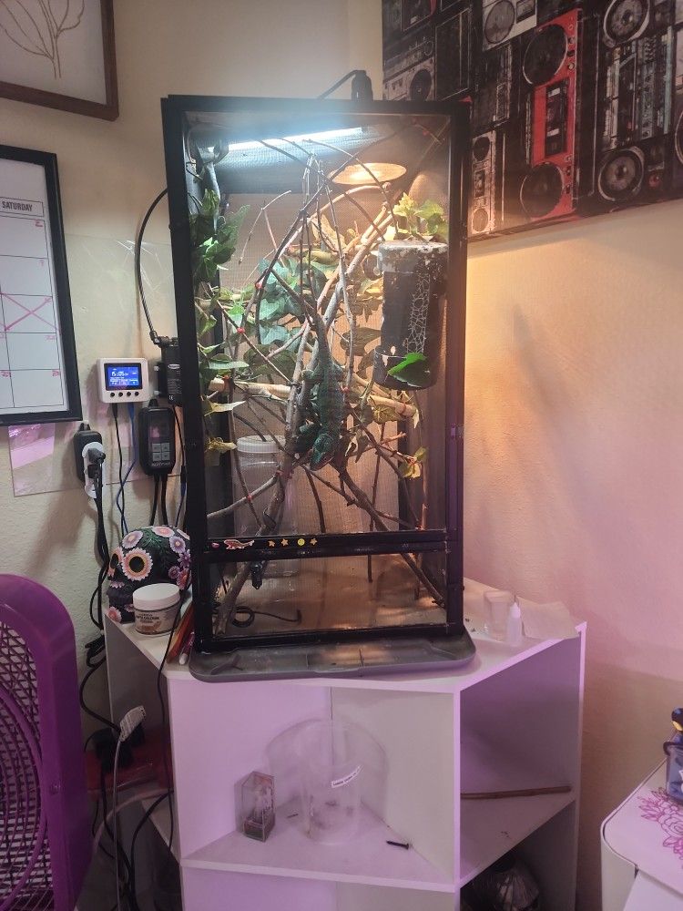 Chameleon Cage