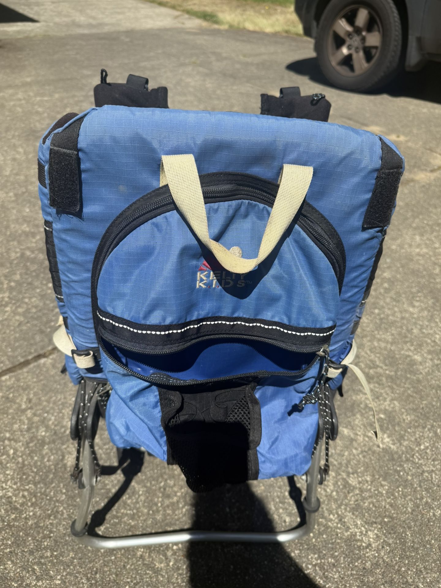 Kids Hiking Backpack Carrier