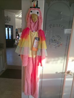 Hyde & EEK Toddler Parrot Halloween Costume