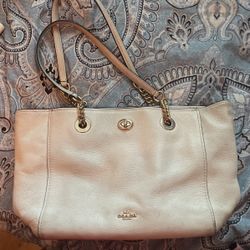 Chalk Coach Purse