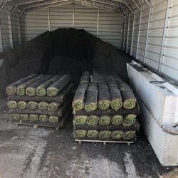 Kentucky Blue Grass - Fresh Sod