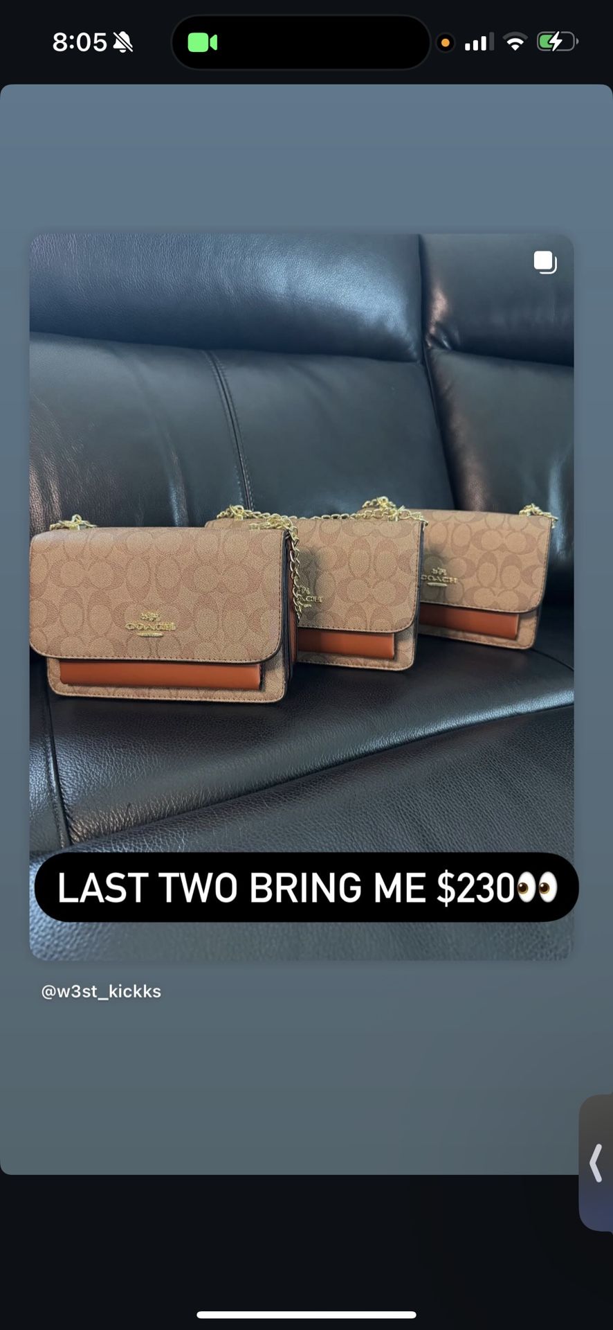 Women coach Purses