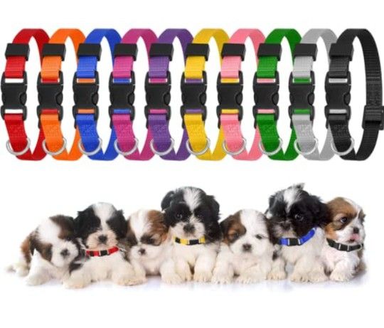Wonder Pup Puppy Collars