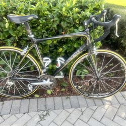 Trek Carbon Fiber Road bike