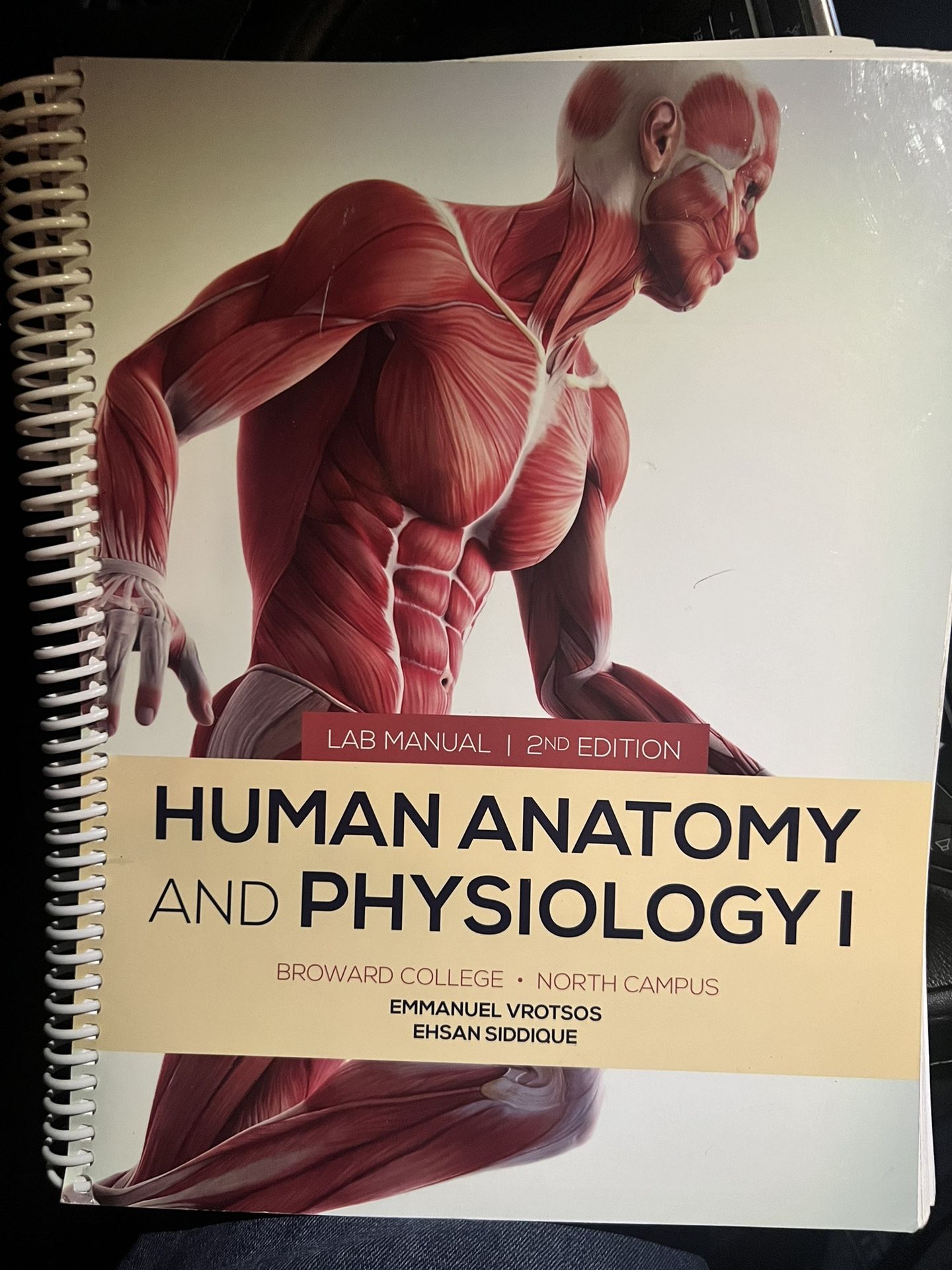 Human Anatomy and Physiology 1 ( Lab Manual 2nd edition ) for Sale in Oakland Park, FL OfferUp