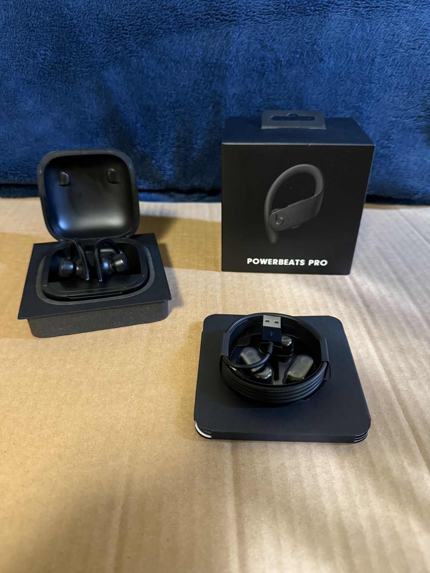 Powerbeats Pro (1st Gen)