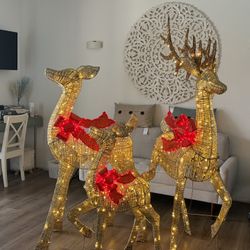 Raindeer 3 Piece From Cosco
