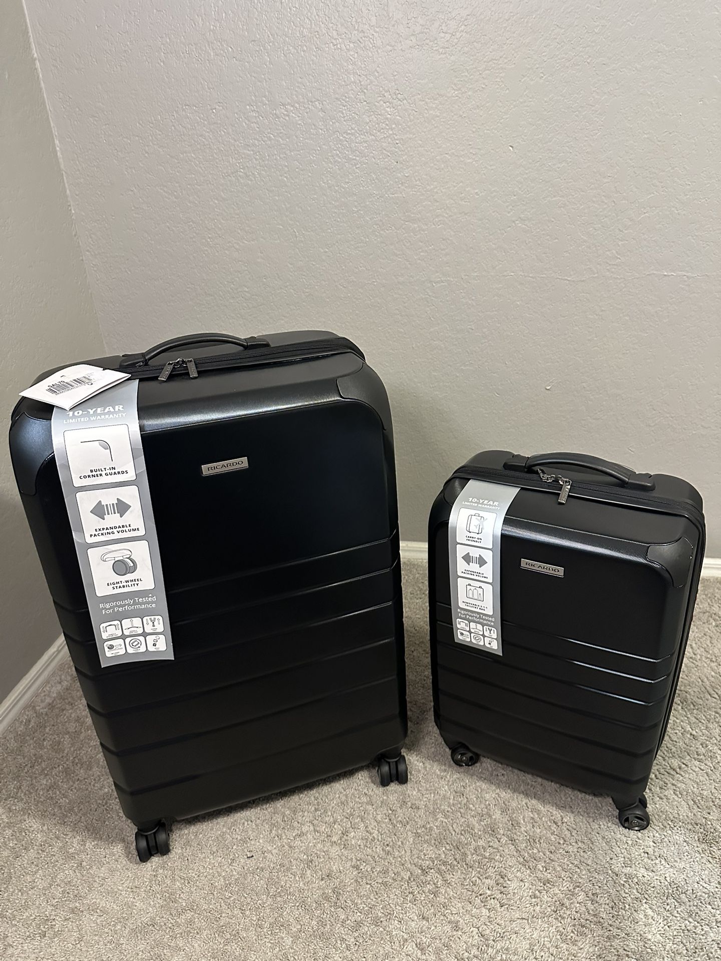 Ricardo 2 piece luggage set