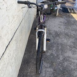 Purple Bike