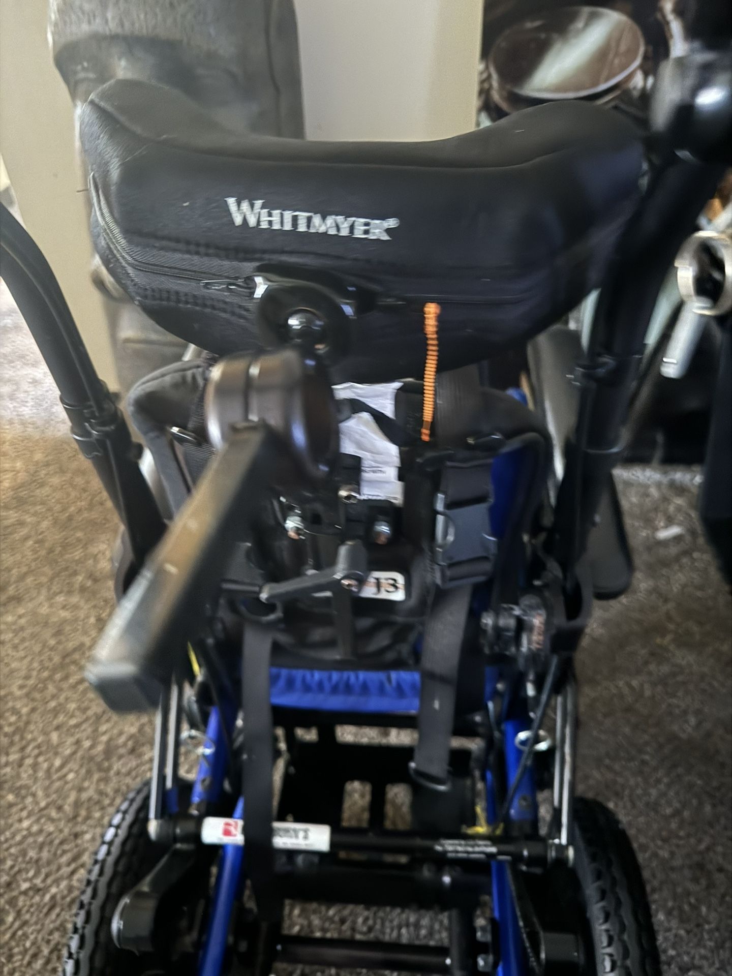 Little Mobility Special Needs Stroller