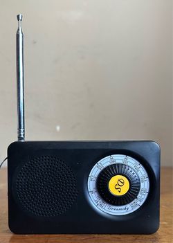 DreamSky Model DS208 AM/FM Portable Pocket-Size Battery Operated Handheld Radio