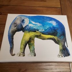 Elephant Canvas 