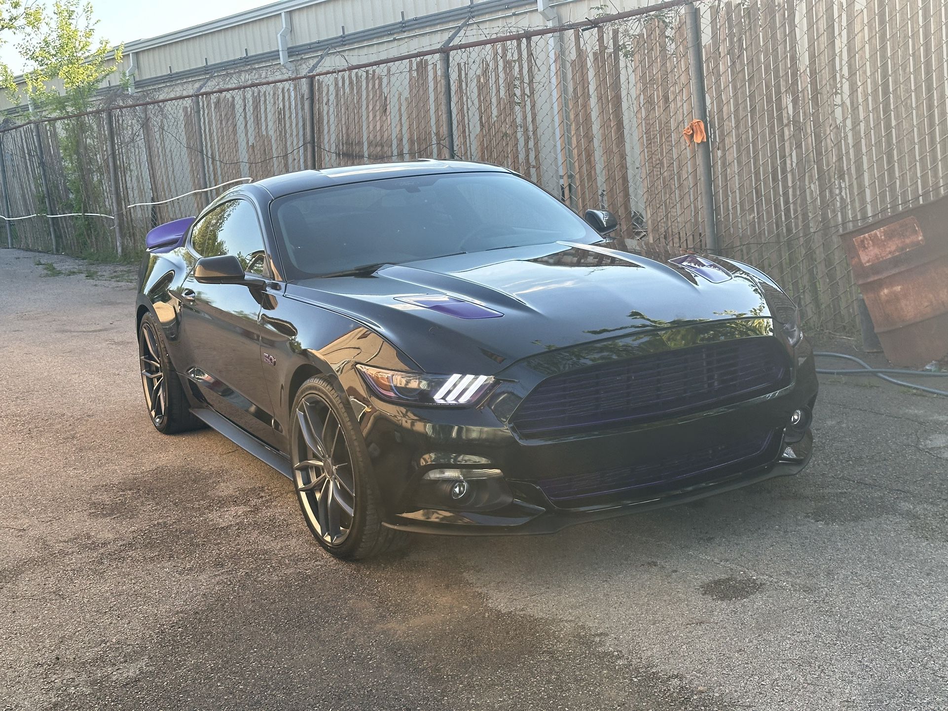 Mustang Gt V8 2017