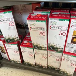 Basic Series Mini Lights Indoor/outdoor Clear Bulbs/Green Wire 50 Mini Lights 20.4 Watts