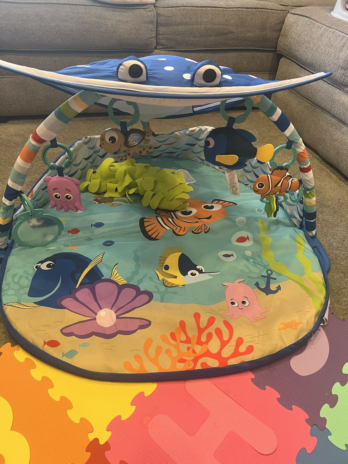 Finding Nemo Gym