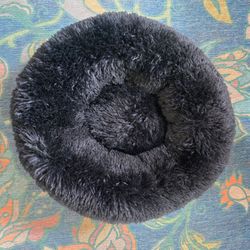 Cat bed