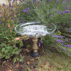 Bird bath /feeder - Art Decor (indoor/outdoor, yard art)