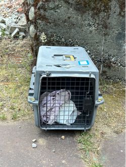 cat or small dog carrier