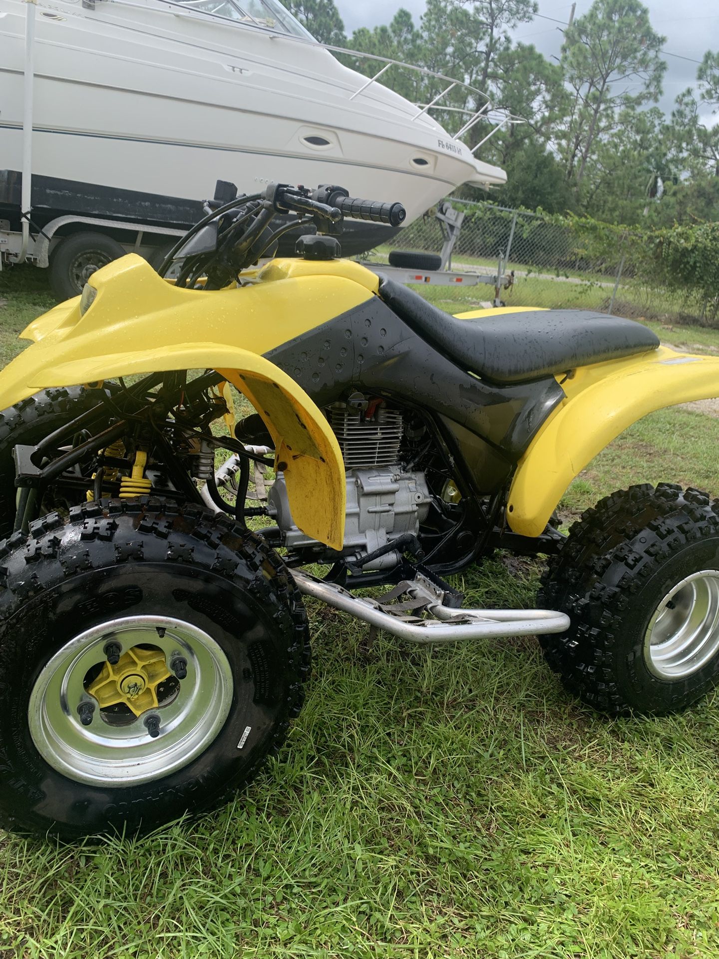 2002 Honda Trx250