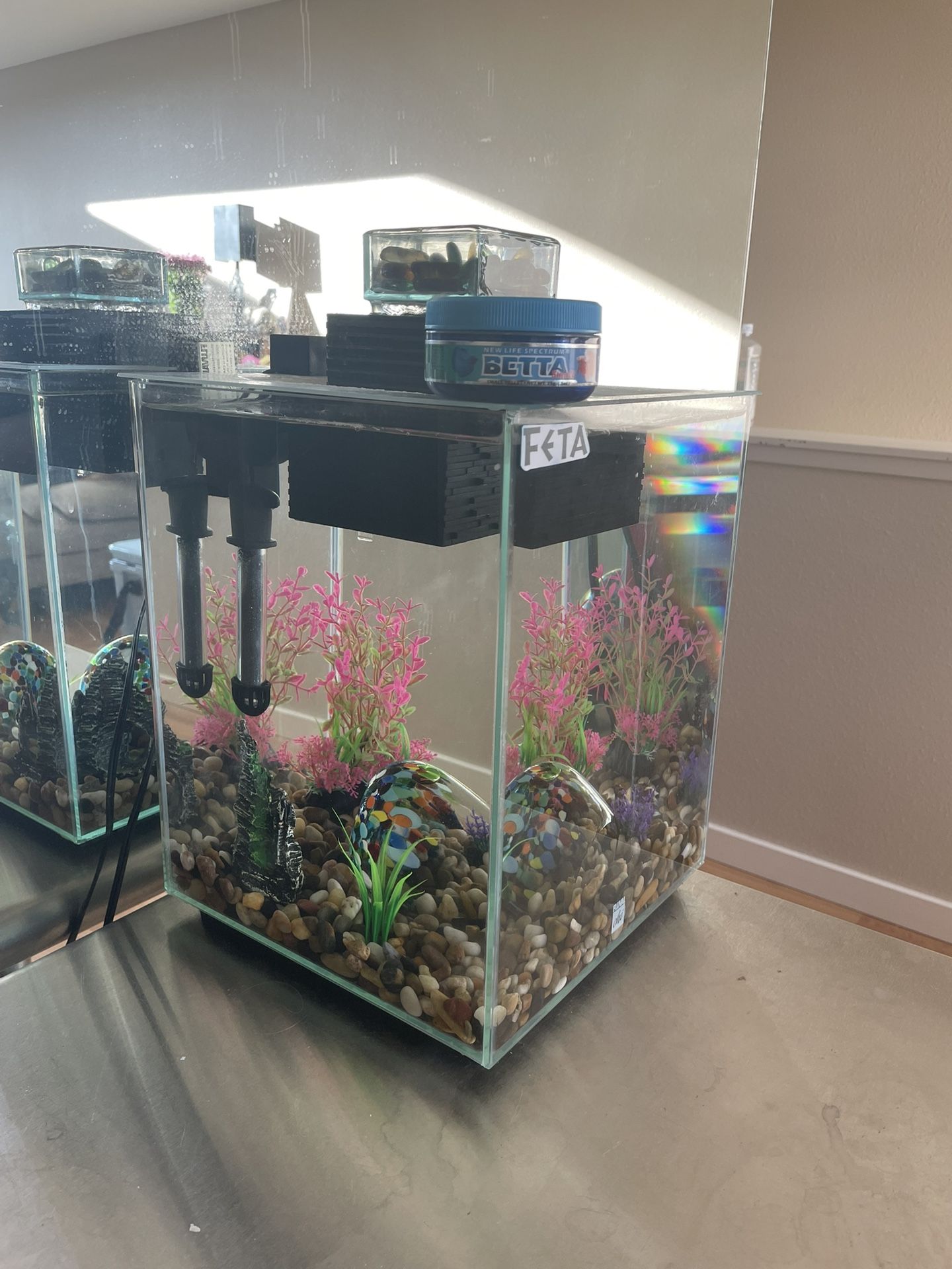 Five-Gallon Aquarium/Fish Tank + Accessories
