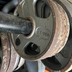 Pair Of 5 Lb Olympic Weight Plates