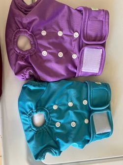 Dog diapers