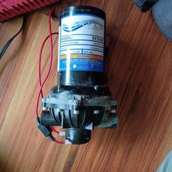 12 Volt Everflo Pump