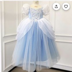 Cinderella Dress 8-9