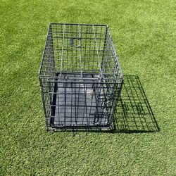 Dog crate with two doors