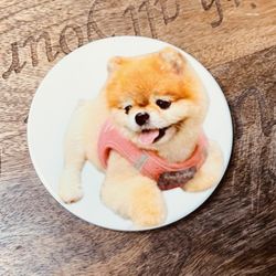 Personalizar Tus Mascotas En Porta Vasos Llaveros o lo que tú Elijas 