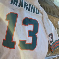 Dan Marino Authenti Jersey 