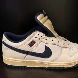 Nike Dunk Low X Stranger Things