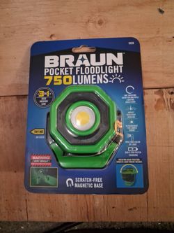 Braun 750 Lumen Pocket Floodlight