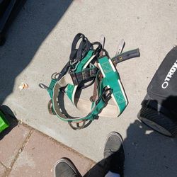 Climbing Harness
