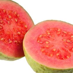 Thai Pink Guava Starter Plant In 1 Gallon Pot