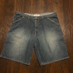 carpenter Jorts