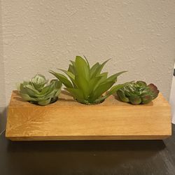Plastic Succulent Arrangement