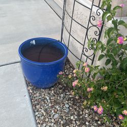 Outdoor Ceramic Blue Pot 